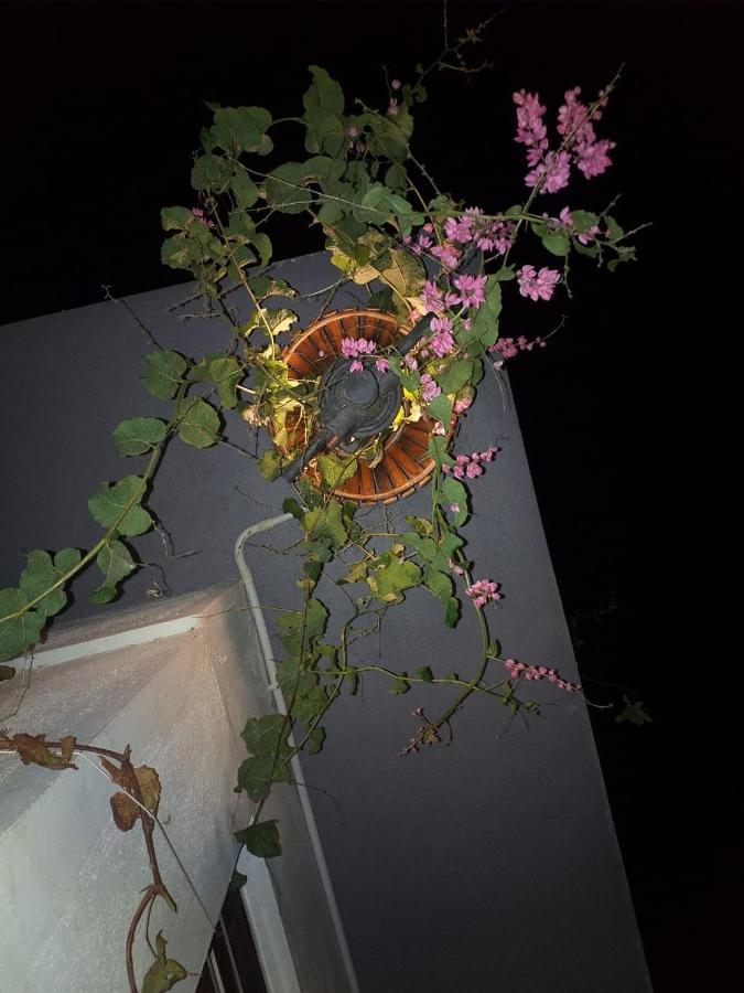 Mango Tree Homestay Hampi Zewnętrze zdjęcie