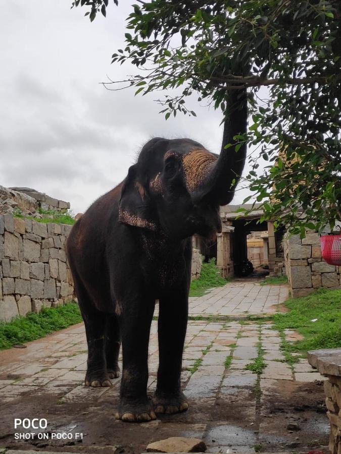 Mango Tree Homestay Hampi Zewnętrze zdjęcie