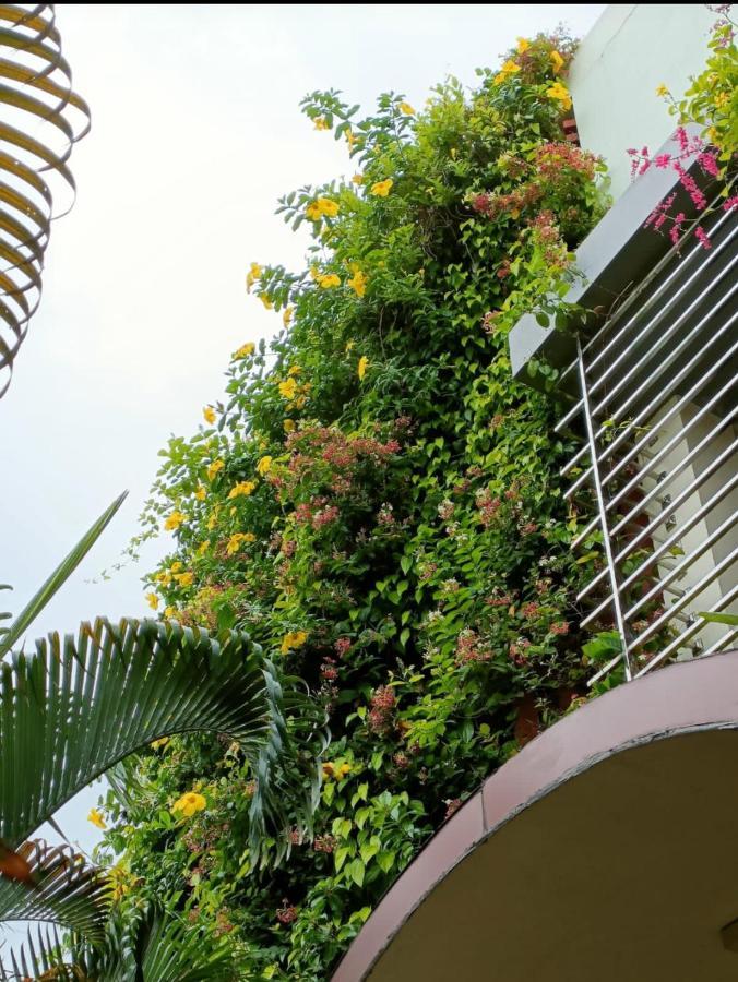 Mango Tree Homestay Hampi Zewnętrze zdjęcie