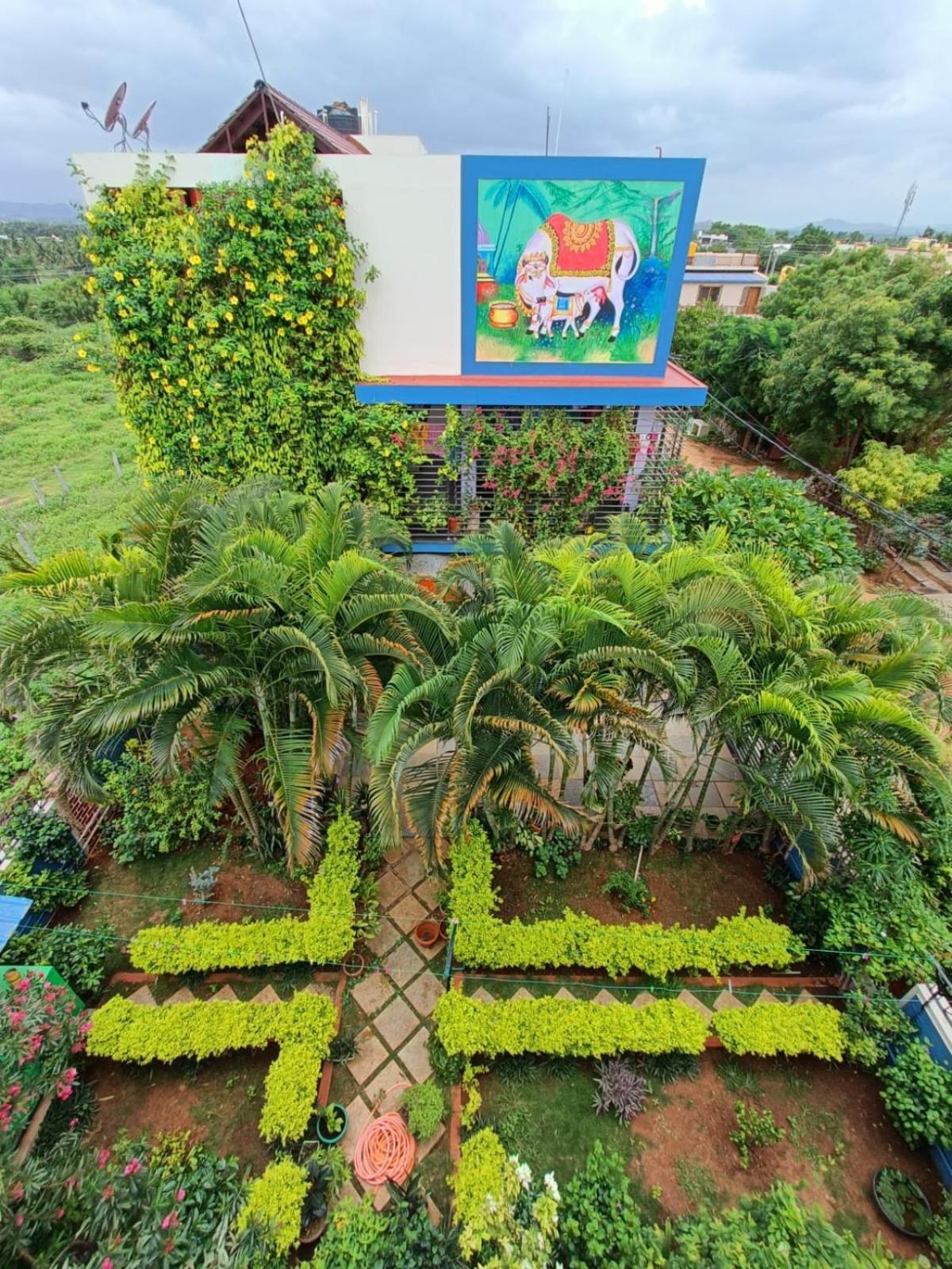 Mango Tree Homestay Hampi Zewnętrze zdjęcie